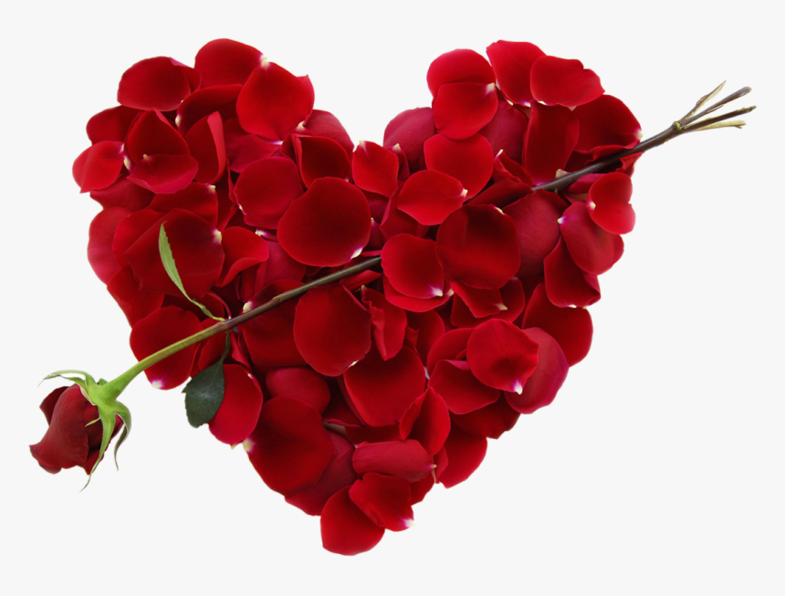 Transparent Rose Heart Png Picture Free Download Searchpng - Love Valentines Day, Png Download