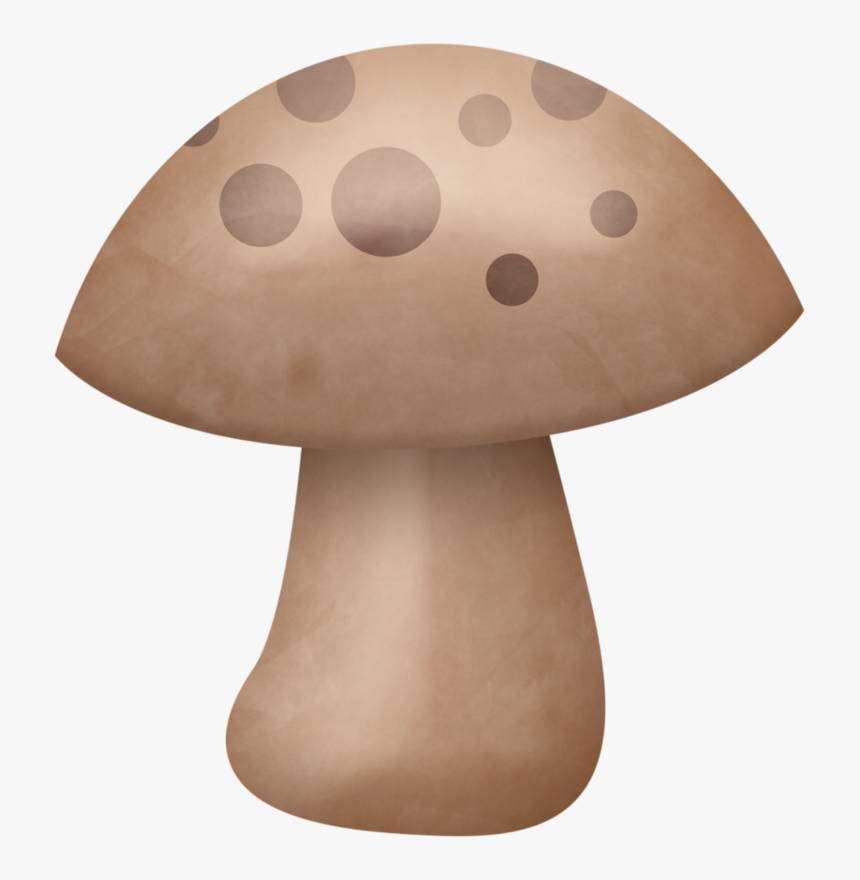 Shiitake, HD Png Download