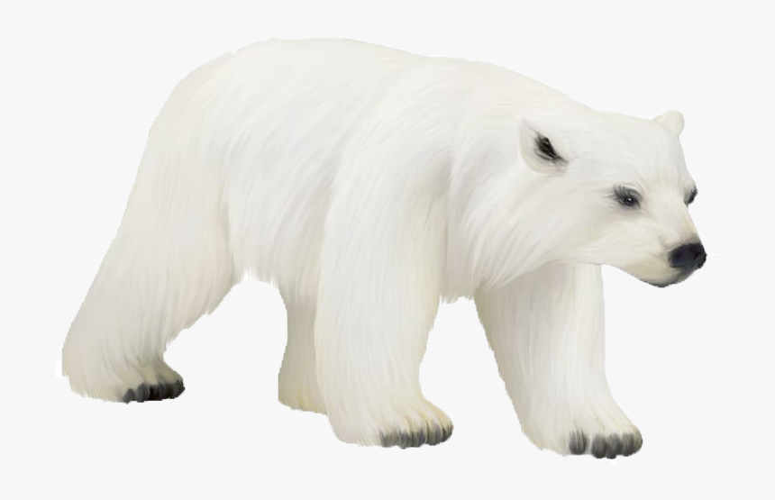 Polar Bear Png Photos - Clip Art, Transparent Png