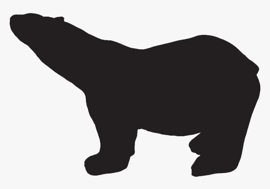 Polar Bear Iceberg - American Black Bear, HD Png Download