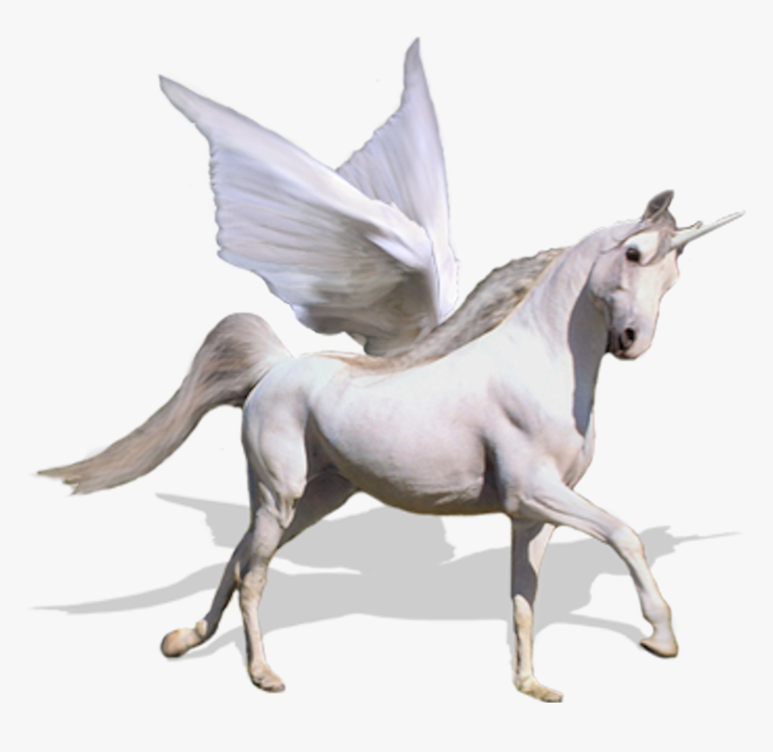 Flying Unicorn Png, Transparent Png