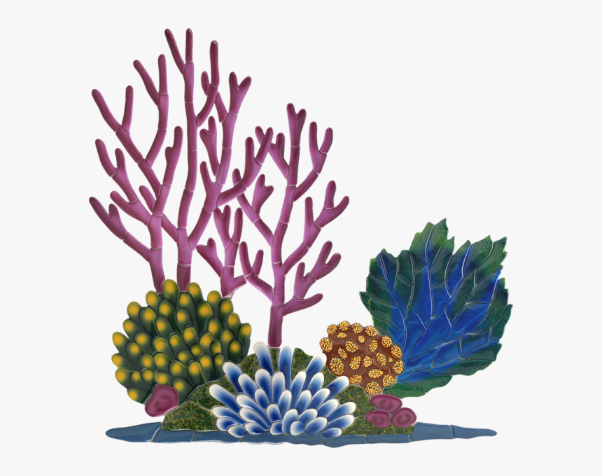 Little Tile Inc - Coral Reef Clipart, HD Png Download