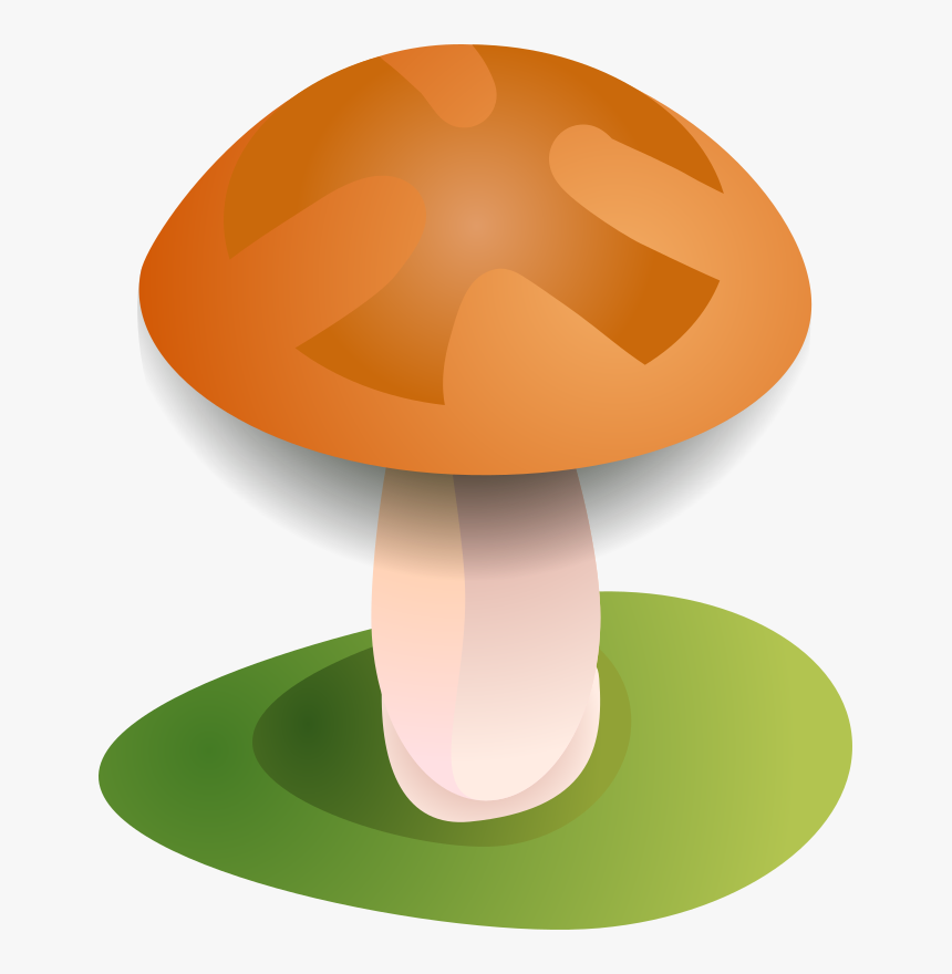 Mushroom, HD Png Download