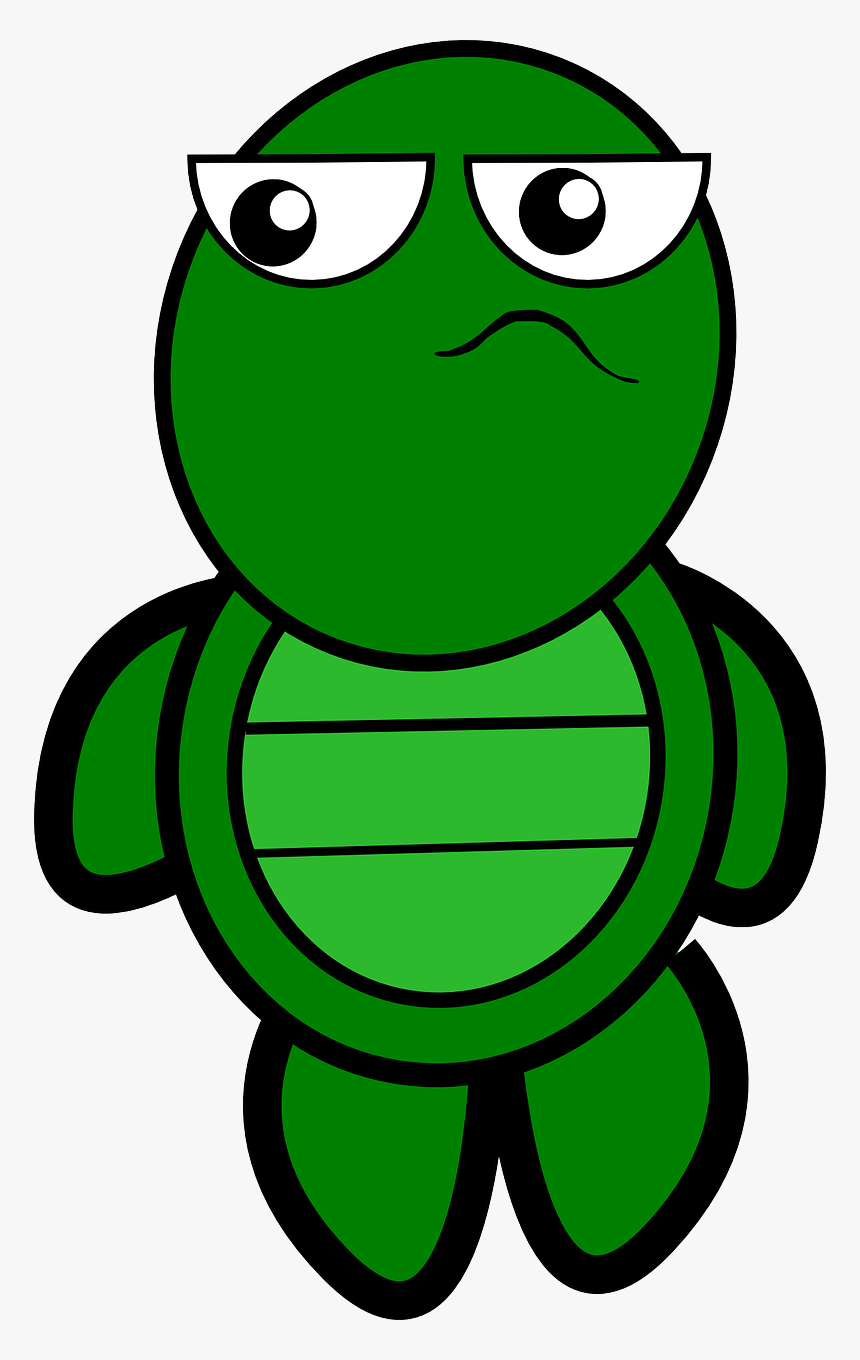 Clipart Transparent Background Turtle Png, Png Download