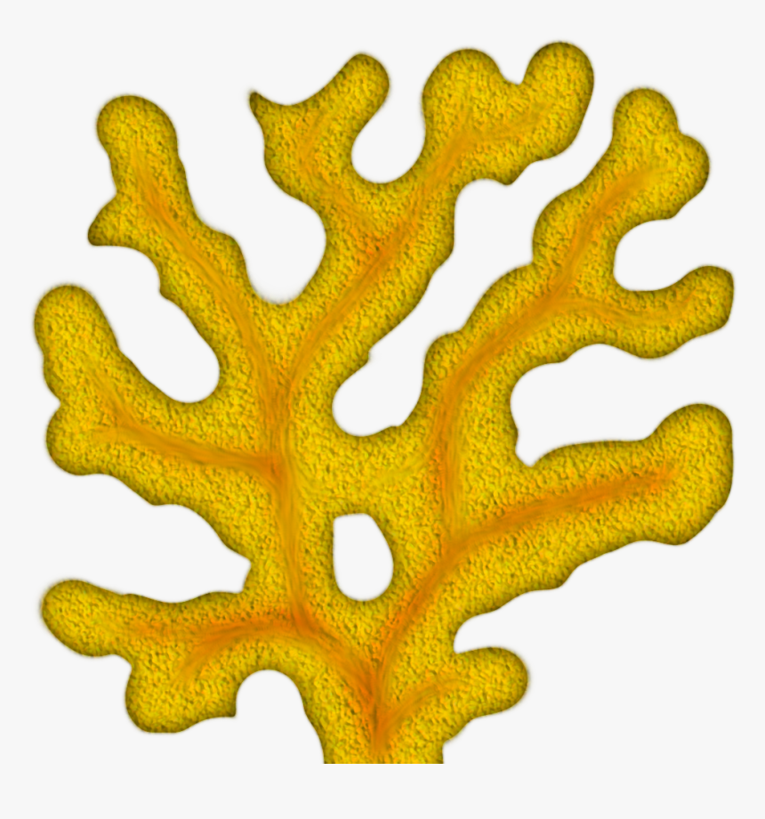 Coral Clipart Png - Png Coral Clipart, Transparent Png