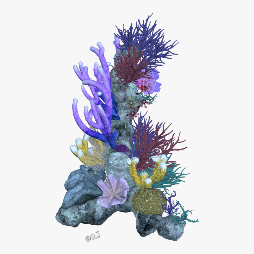 Pin Coral Reef Clipart Png - Coral Clipart Coral Reefs Coral Png, Transparent Png