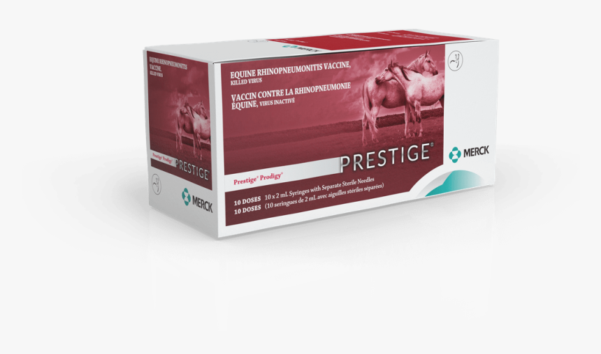 Multimedia Software, HD Png Download