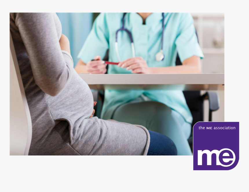 Early Pregnancy Doctor, HD Png Download