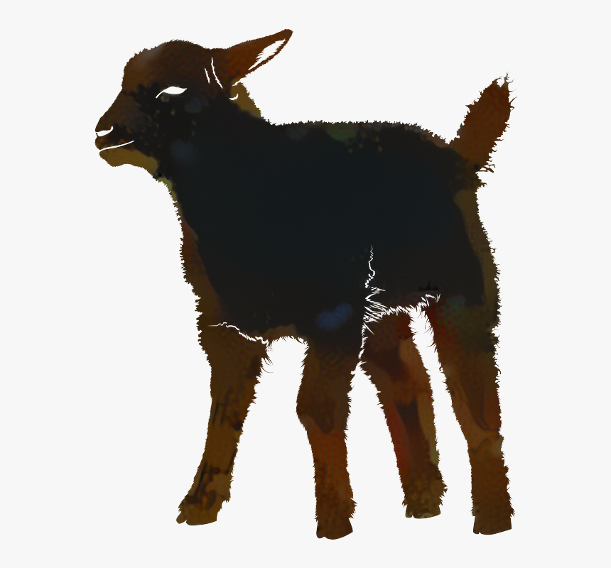 Silhouette Vector Graphics Image Sheep Photograph - Lamb Silhouette Png, Transparent Png