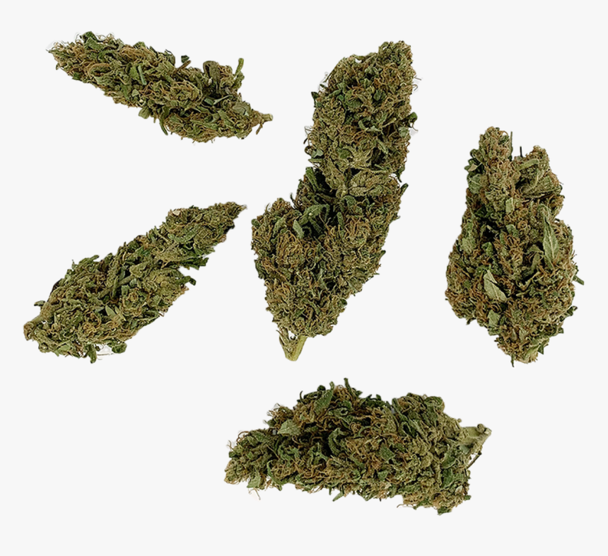 Tamaryokucha, HD Png Download