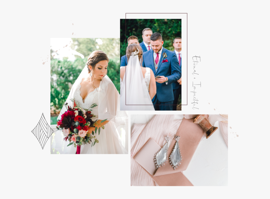 Nicki Ahrens Phtography Website-01, HD Png Download
