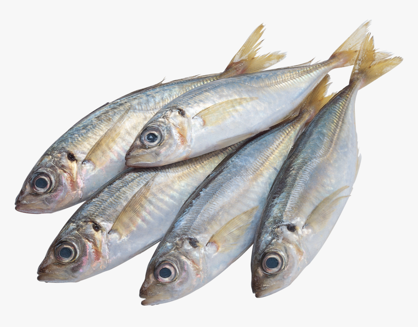 Best Free Fish Png - Fish In The Market Clipart, Transparent Png