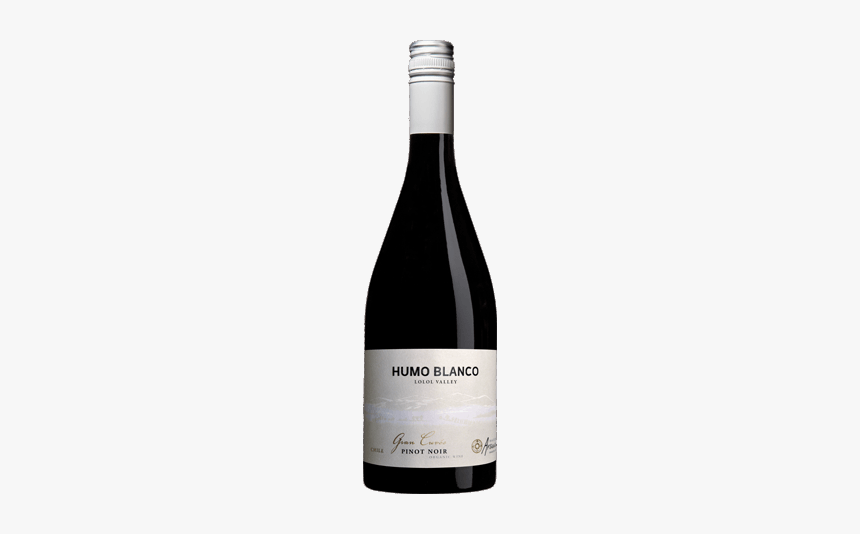 Humo Blanco Pinot Noir Gran Cuvée 2015 750 Ml - Vase, HD Png Download