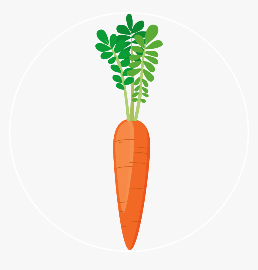 Carrot-icon - Baby Carrot, HD Png Download