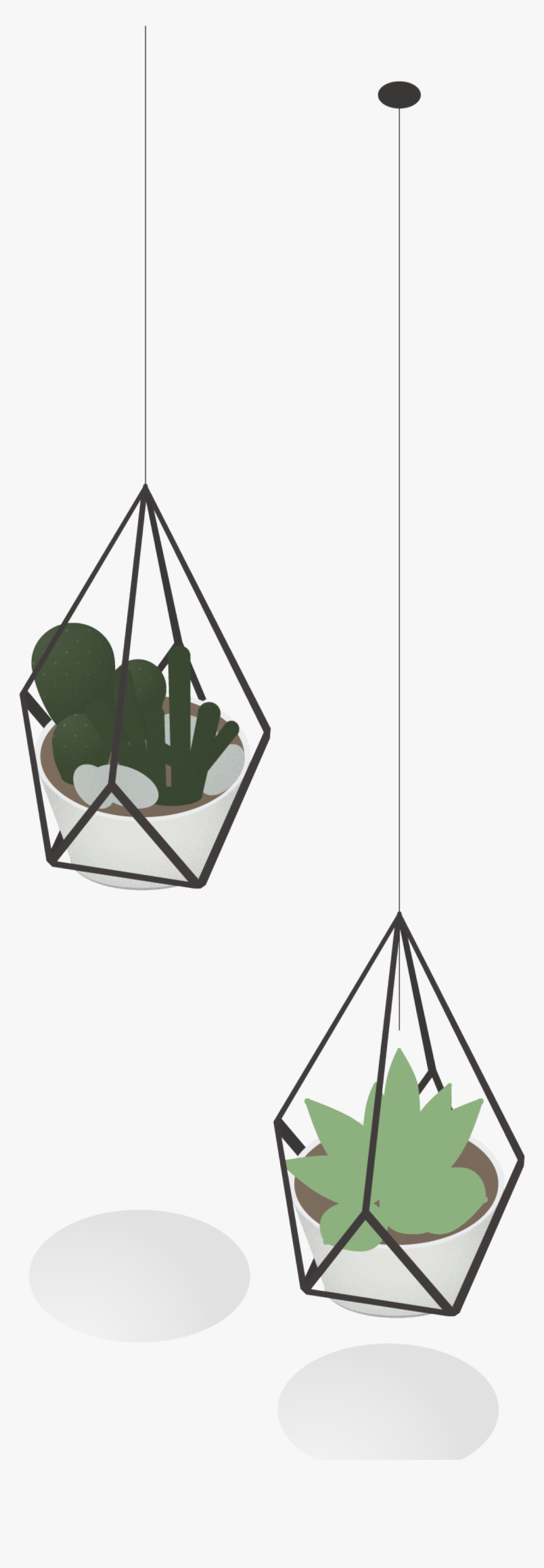 Architecture Interior Plant Drawing, HD Png Download