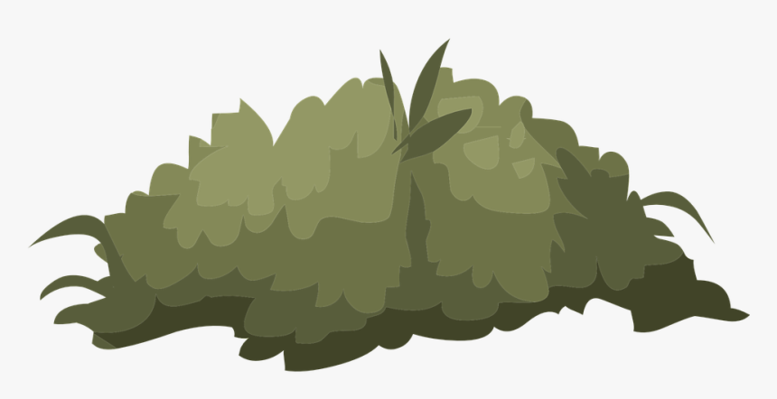 Bush Illustration, HD Png Download