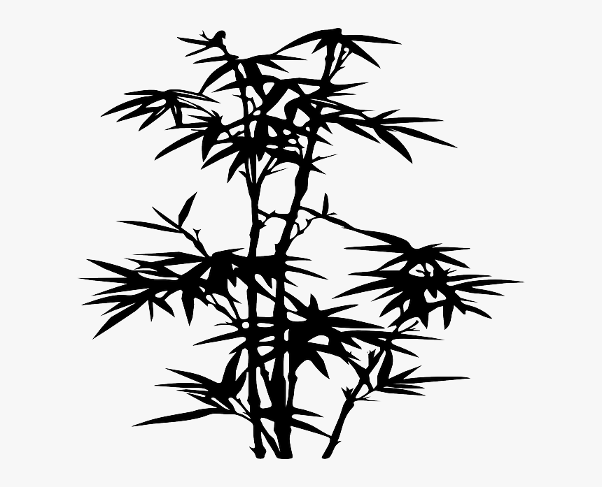 Silhouette, Plants, Bamboo, Leaf, Tree, Danny, Allen - Bamboo Silhouette Png, Transparent Png