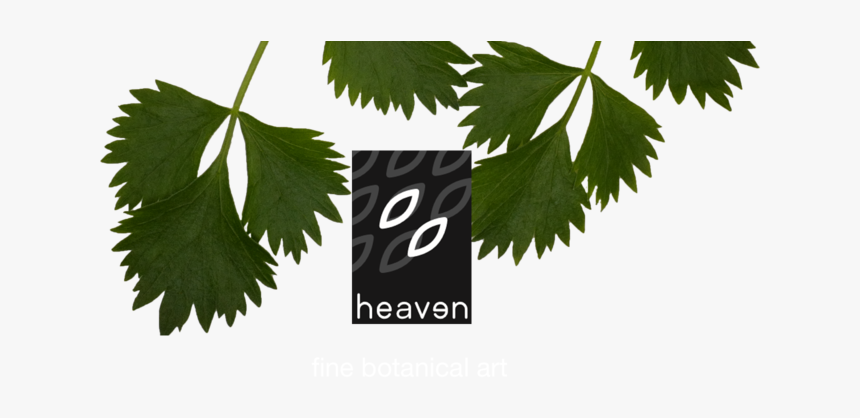 Homeheader3, HD Png Download