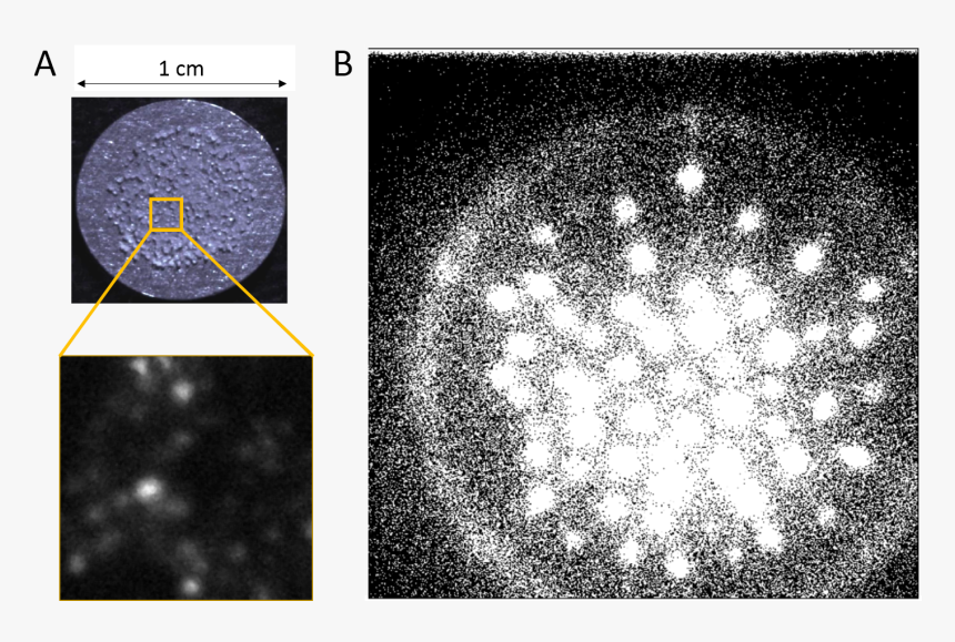 Circle, HD Png Download