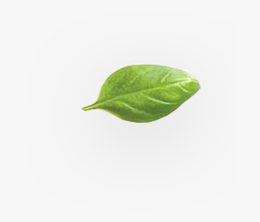 Chard, HD Png Download