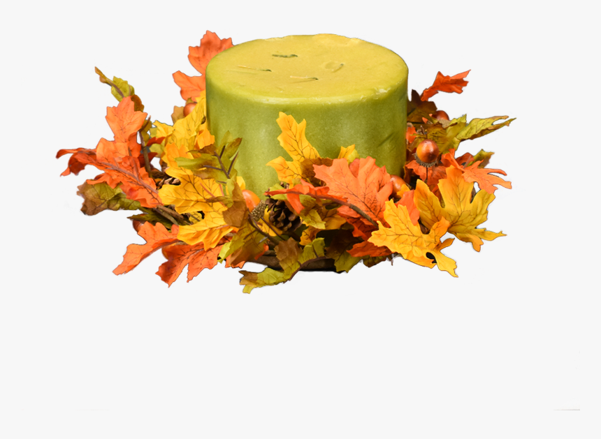 Indian Summer Oak - Macaroon, HD Png Download