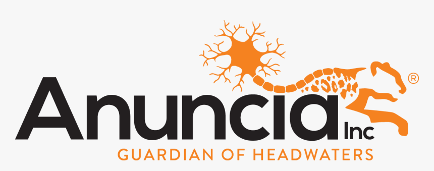 Alcyone Lifesciences Completes Spin-off Of Hydrocephalus, HD Png Download