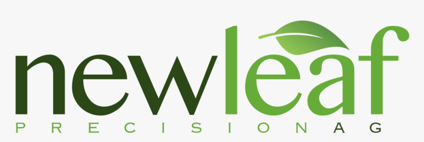 Green Leaf Design Png, Transparent Png