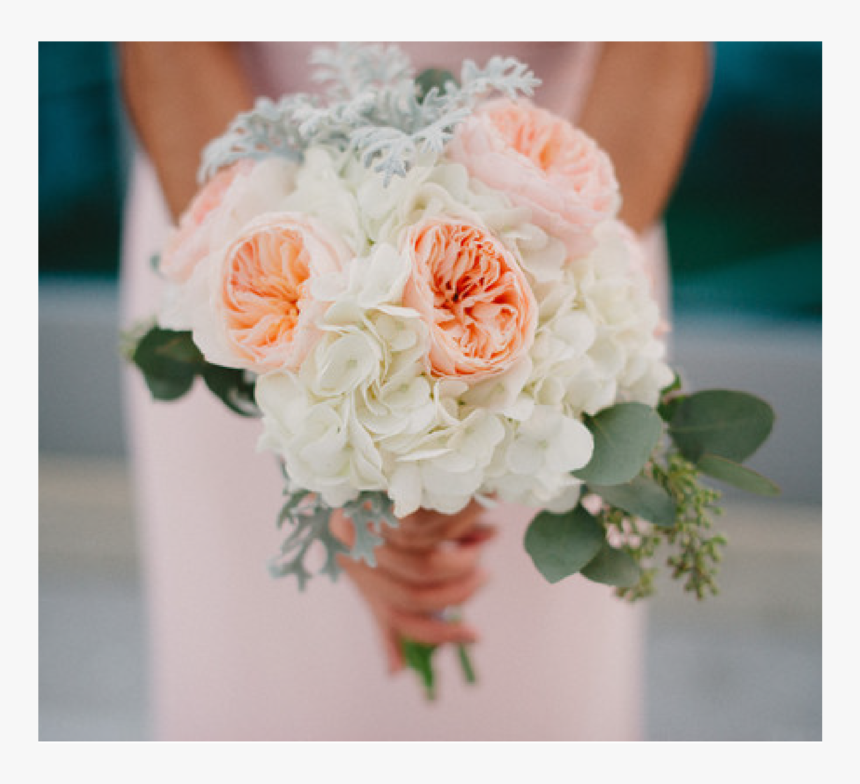 Southern Belle-02 - Hybrid Tea Rose, HD Png Download