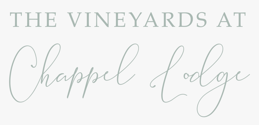 The Vineyards At Chappel Lodge Austin Wedding Venue - Brookline College-tempe, HD Png Download