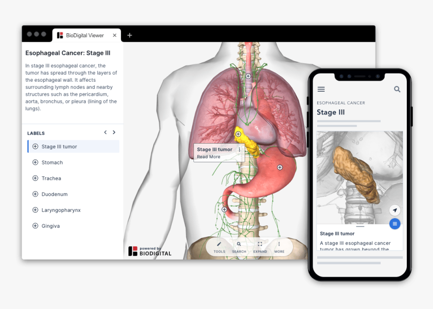 Screenshot, HD Png Download