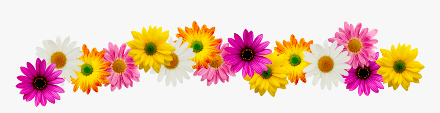 Spring Flower Border Clipart - Spring Flowers Clip Art Border, HD Png