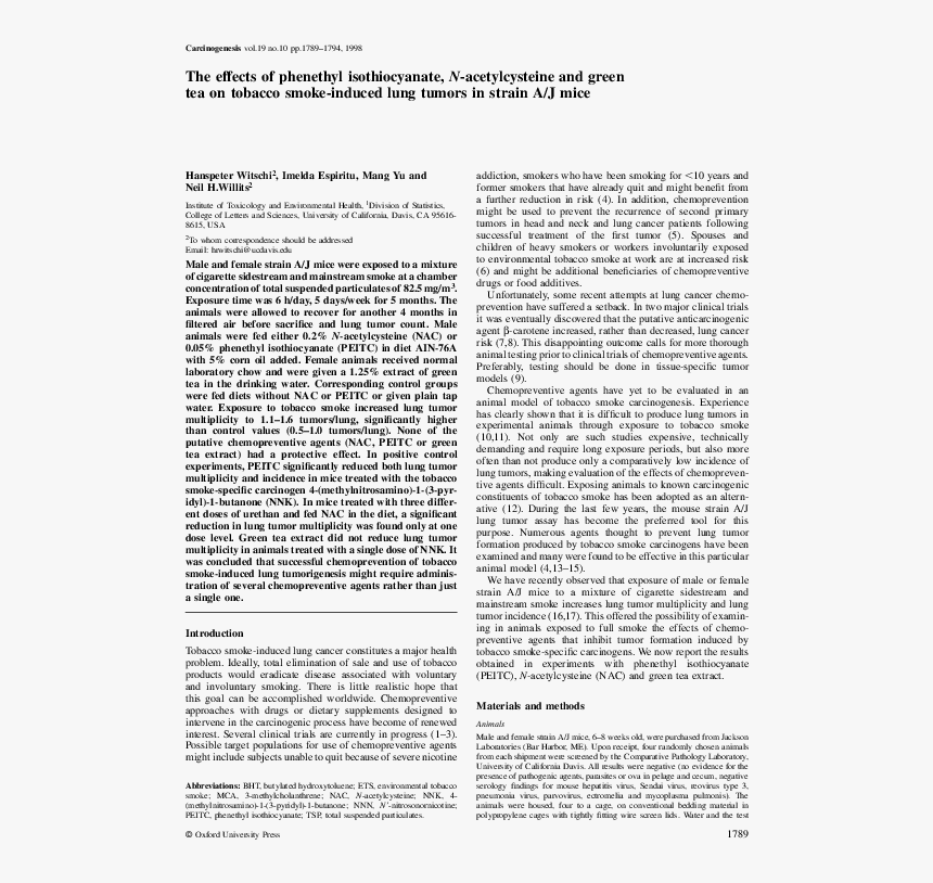 Untitled, Headpiece, Pg. 81, In The Book Dingo By Octave, HD Png Download