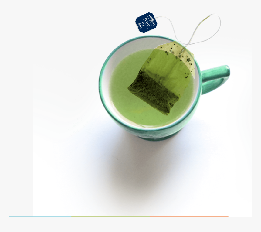 Matcha, HD Png Download