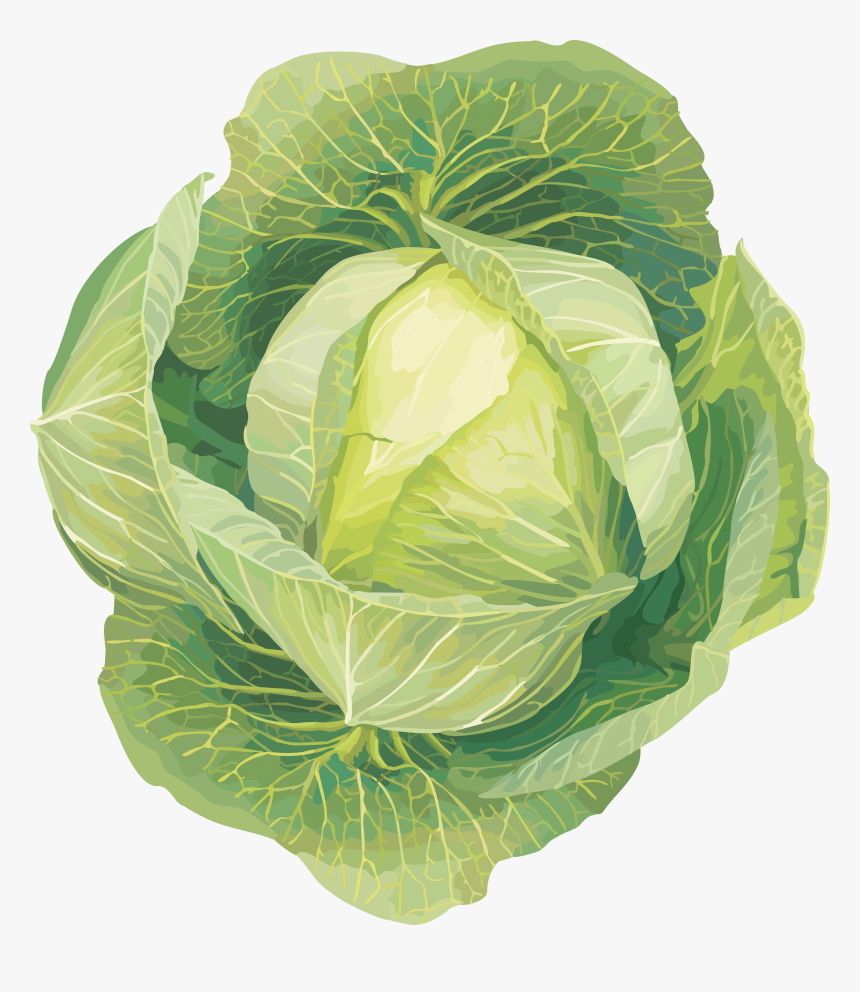 Vegetables Clip Art, HD Png Download