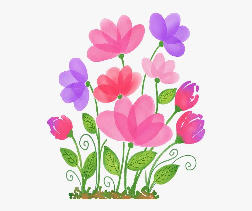 Primula, HD Png Download