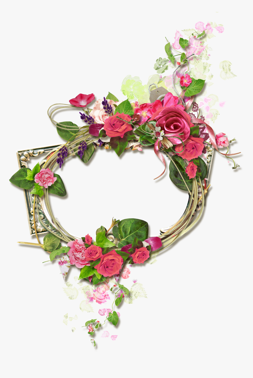 Garden Roses, HD Png Download