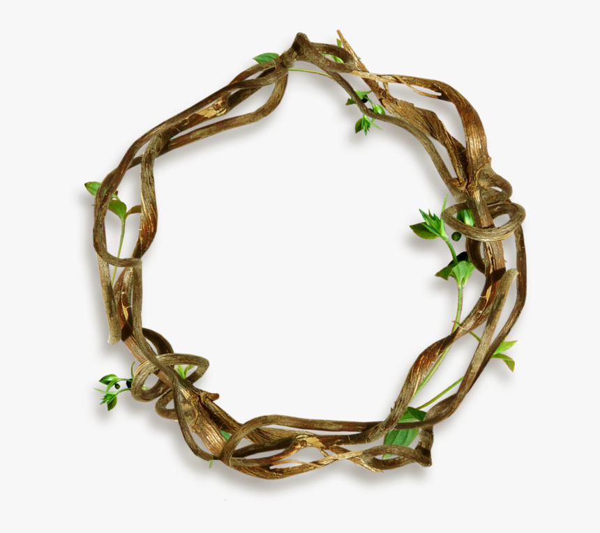 Bracelet, HD Png Download
