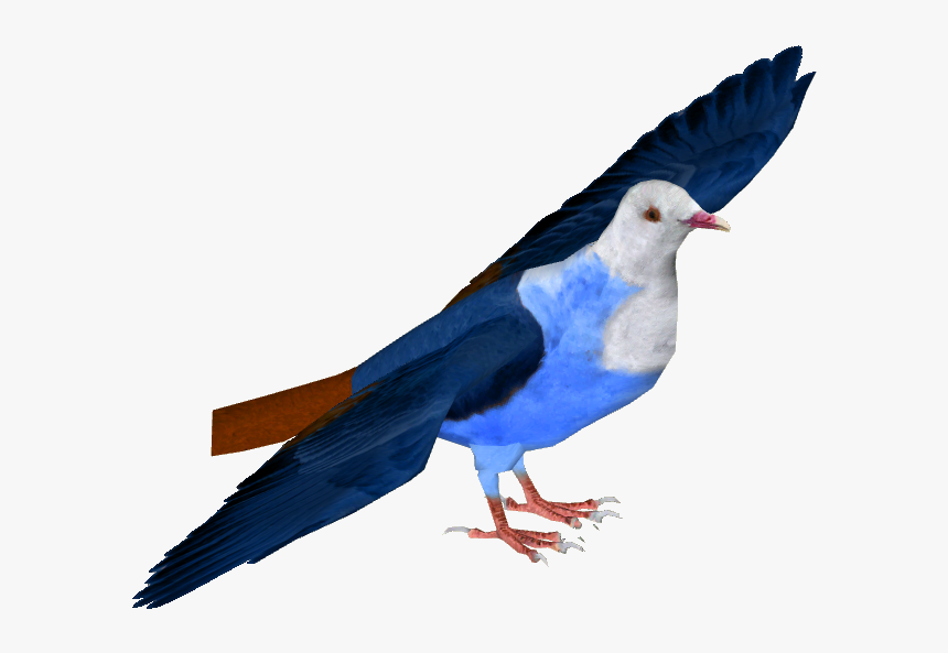 Mauritius Blue Pigeon , Png Download - Rock Dove, Transparent Png