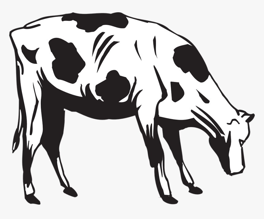 Cow Clipart Eating, HD Png Download