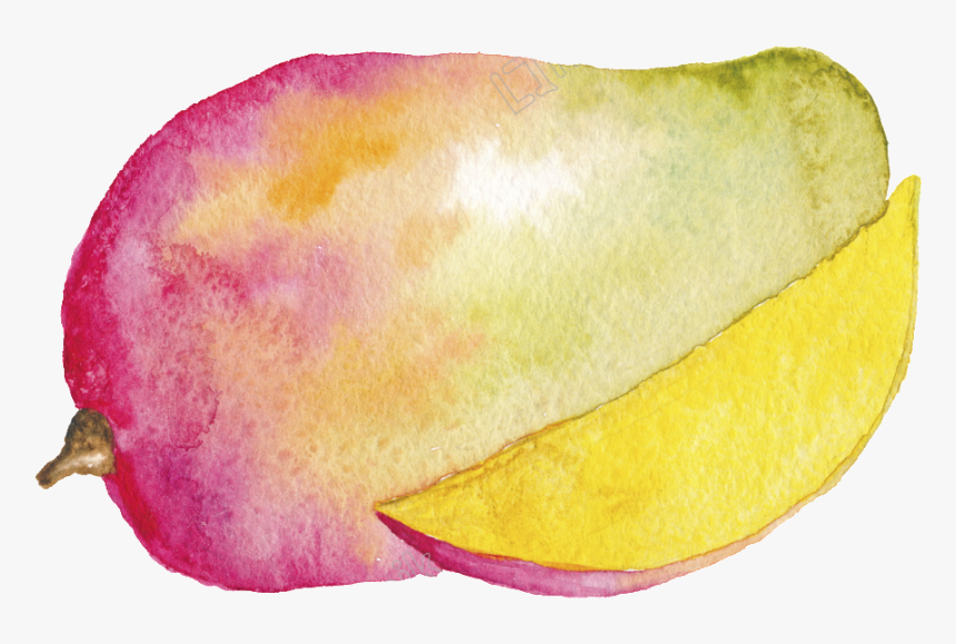 Hand Painted Cartoon - Mango Watercolor Png, Transparent Png