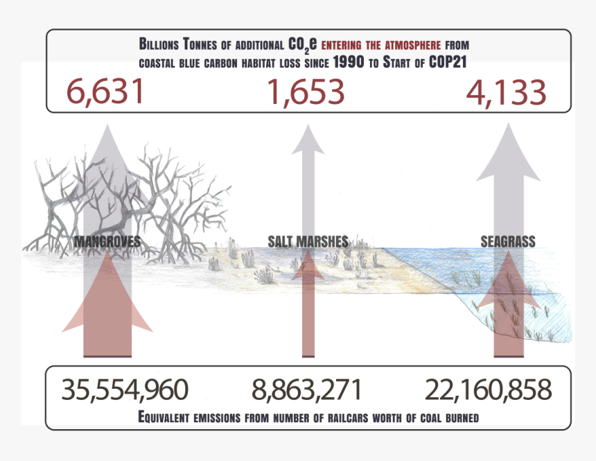 Snow, HD Png Download