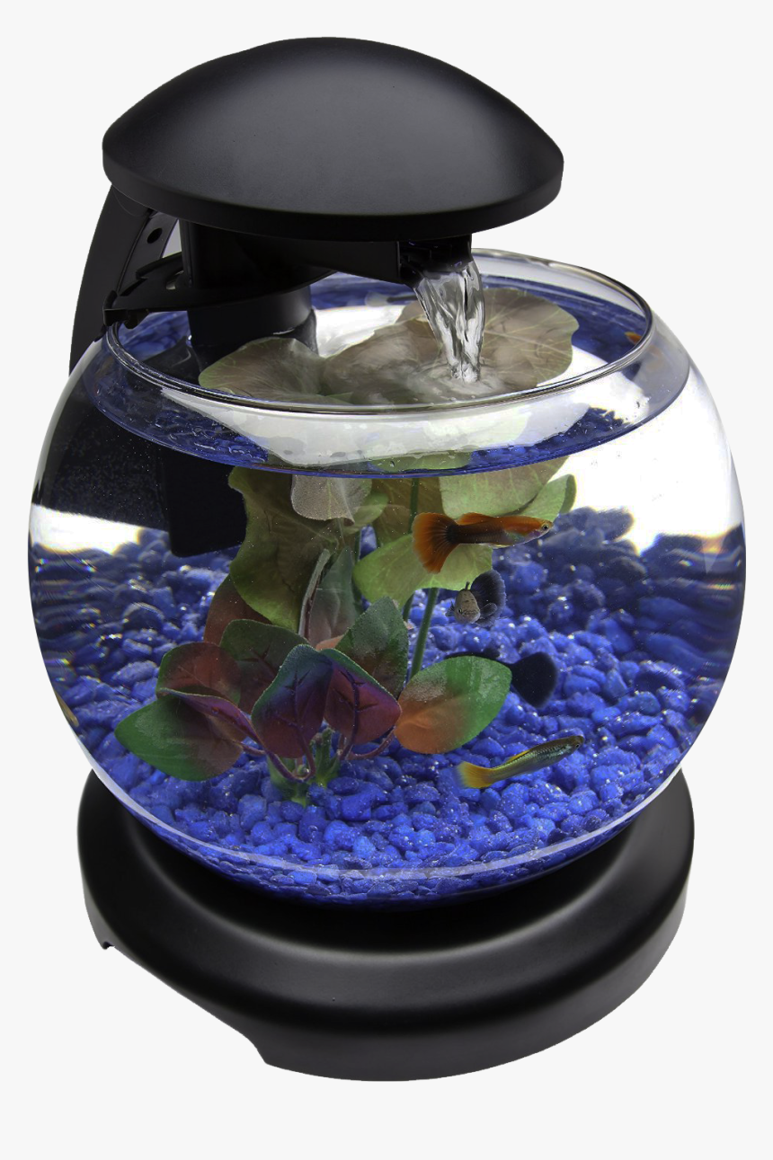 Glob Aquarium Fish Tank Png Transparent Image - Transparent Aquarium Tank Png, Png Download