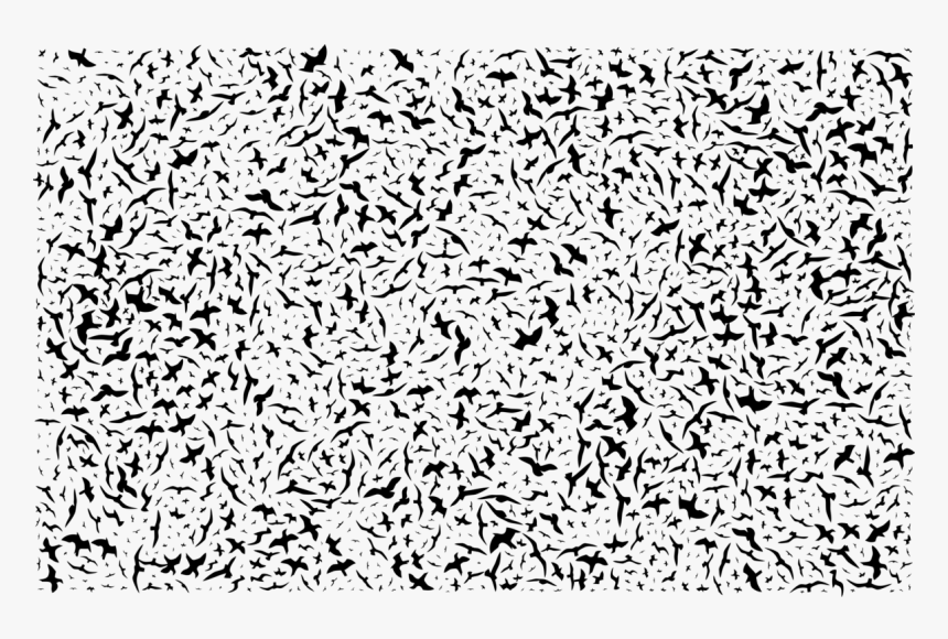 Flight Bird Line Art Black Free Commercial Clipart - Monochrome, HD Png Download