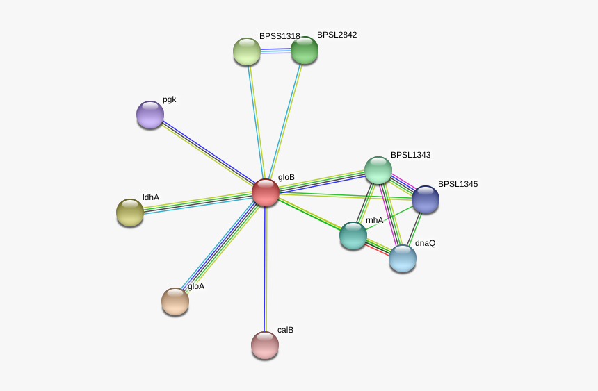 Glob Protein - Circle, HD Png Download