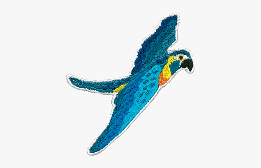 Macaw, HD Png Download