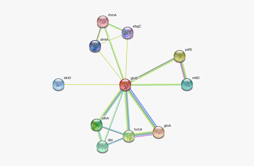 Glob Protein - Circle, HD Png Download