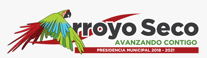 Macaw, HD Png Download