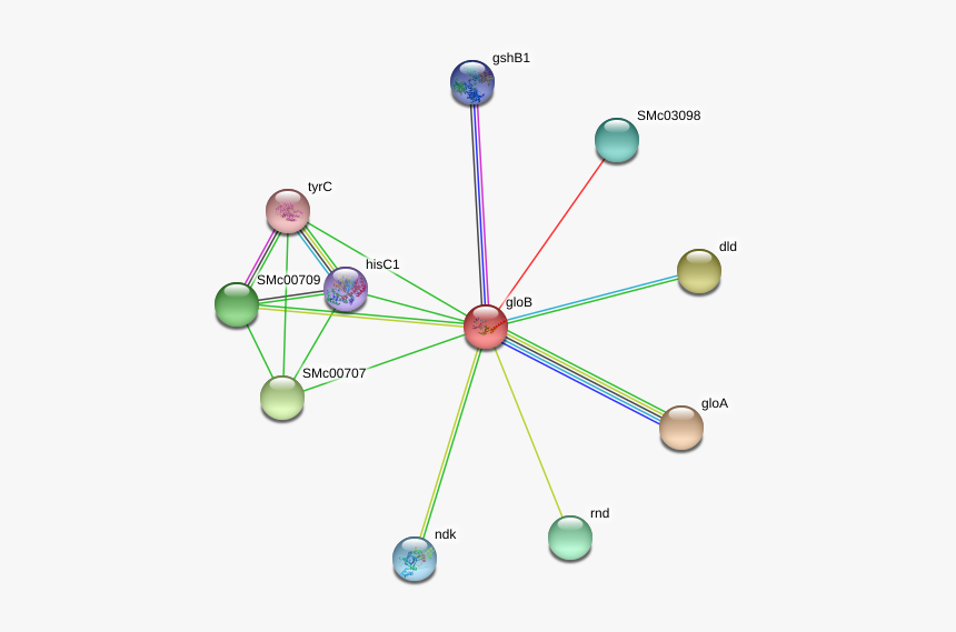 Glob Protein - Circle, HD Png Download