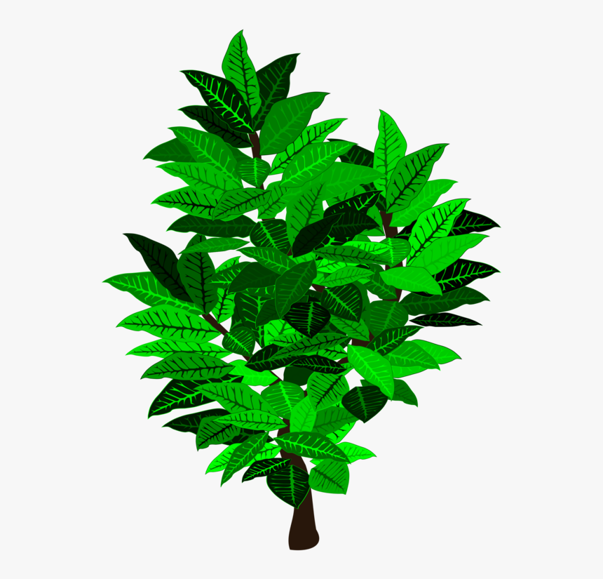 Leaf Tree Shrub Branch Plant Stem - Flowerpot, HD Png Download