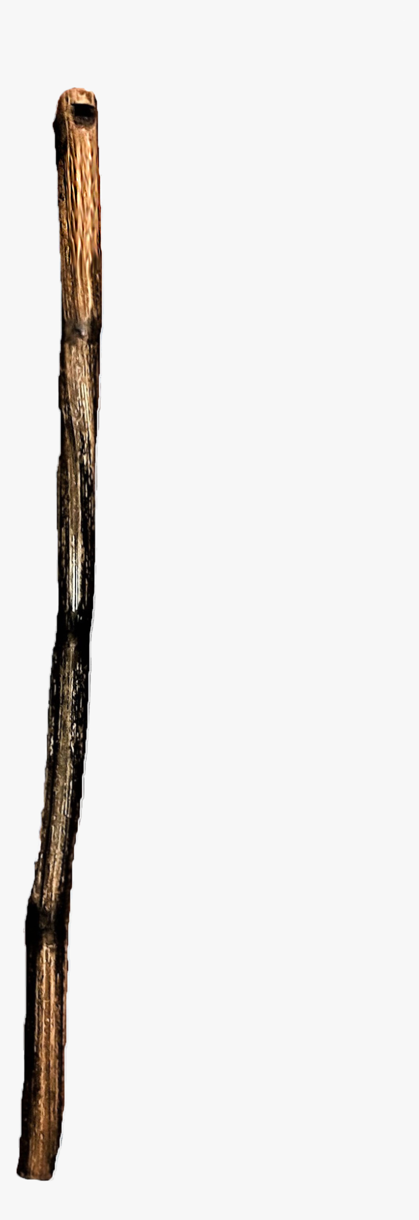Калюка, Сделанная Из Борщевика - Tree Stick Png, Transparent Png